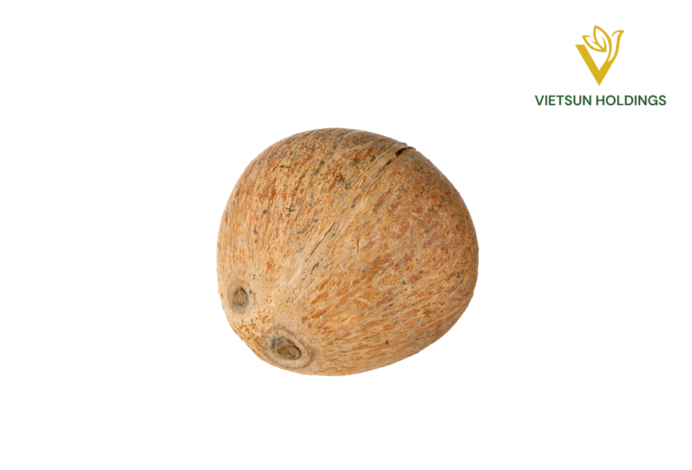 جوز الهند الناضج منزوع القشرة بالكامل