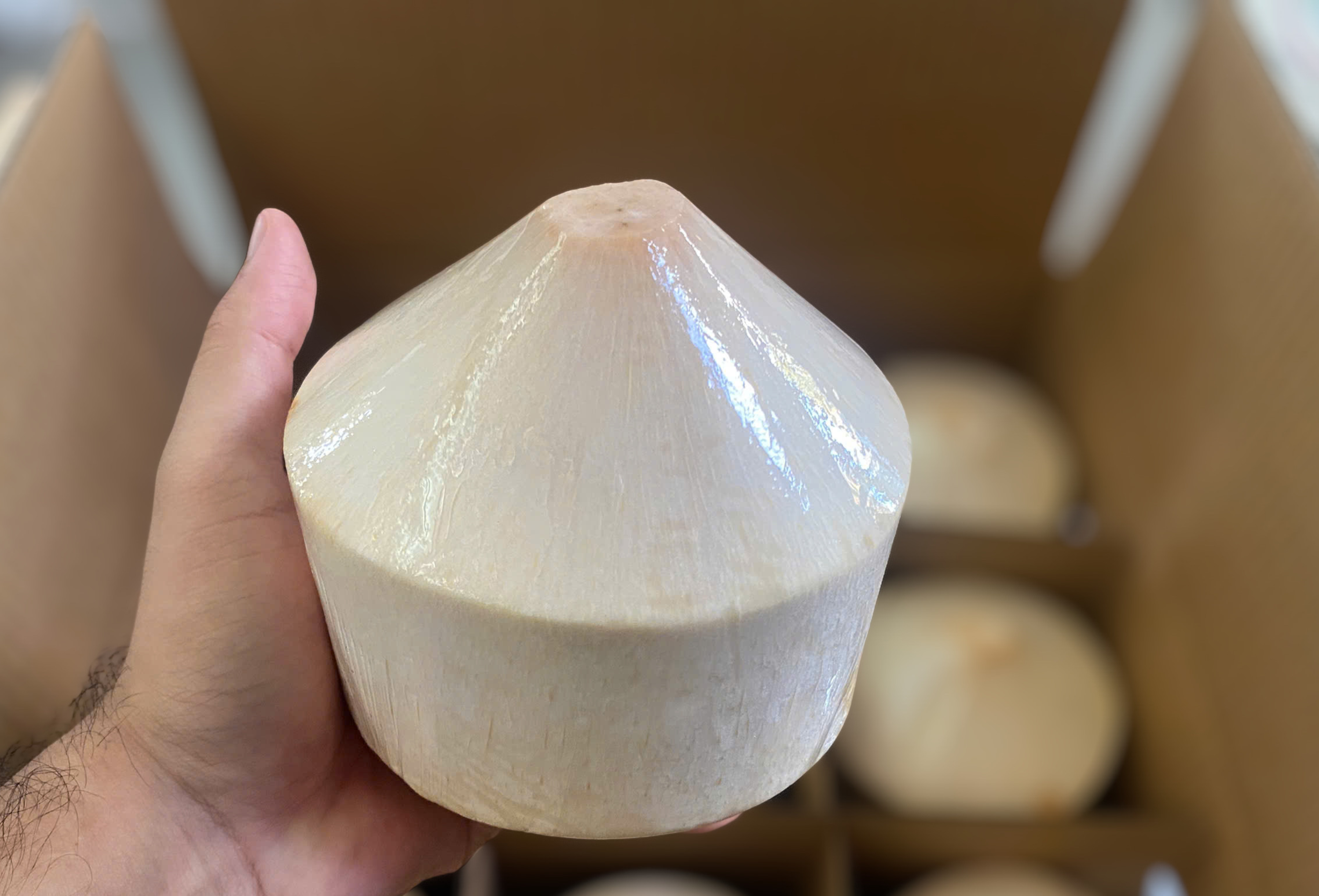 جوز الهند الماسي