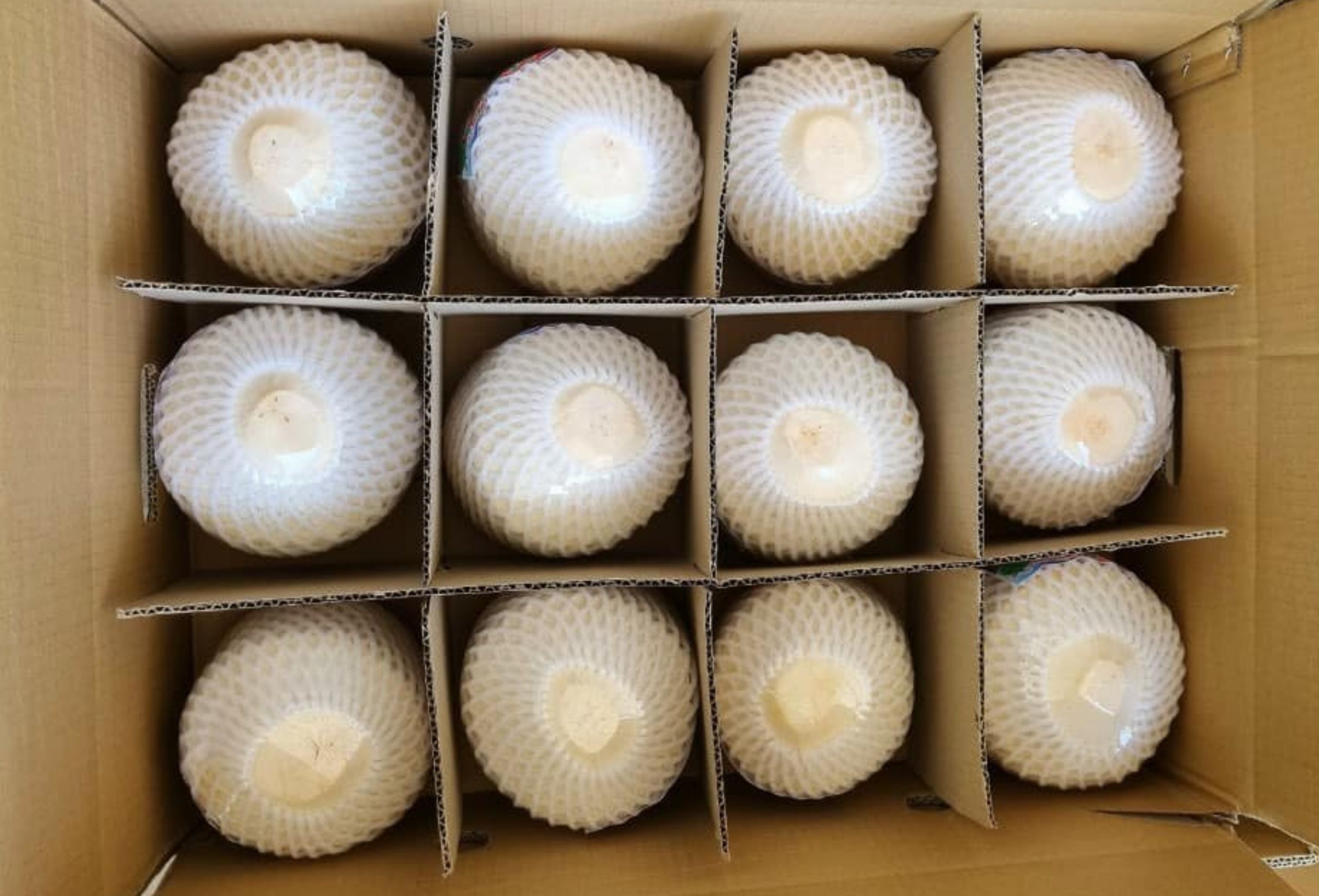 جوز الهند الماسي