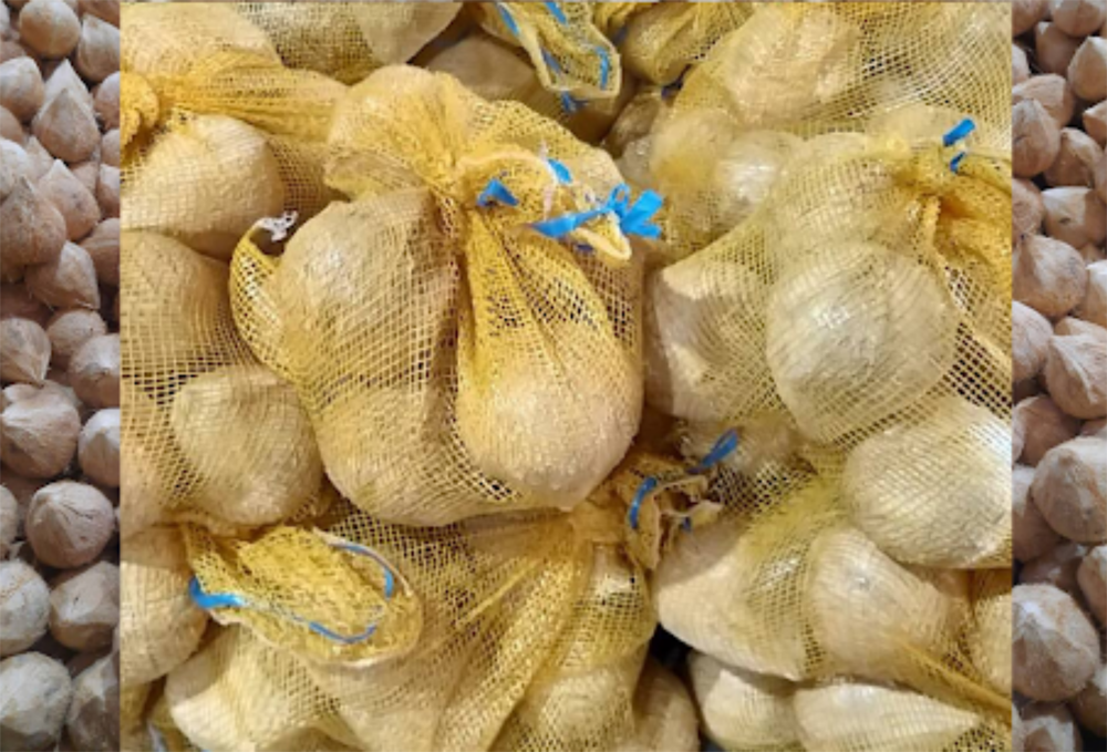 جوز الهند الناضج منزوع القشرة بالكامل