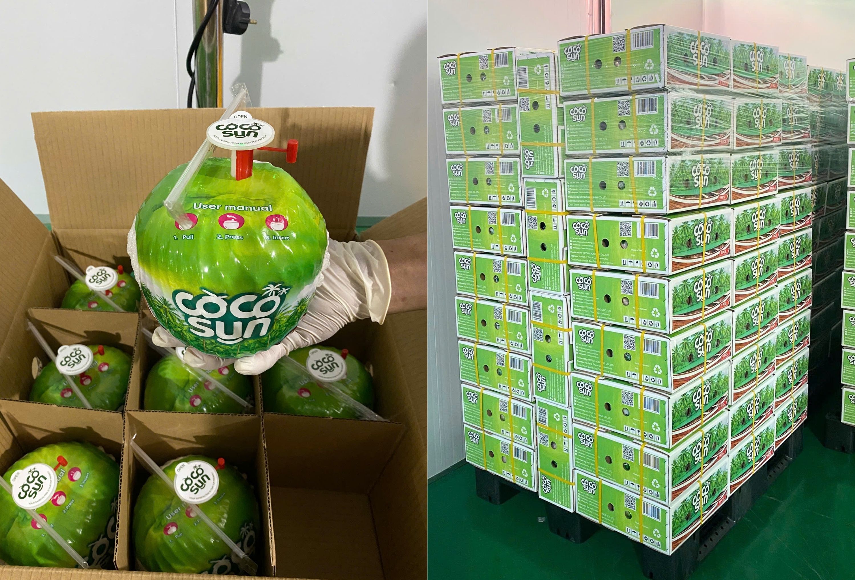 Coco Sun – جوز الهند الصغير الطازج