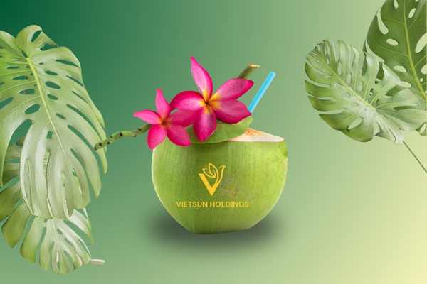 journey of Fresh Coconut